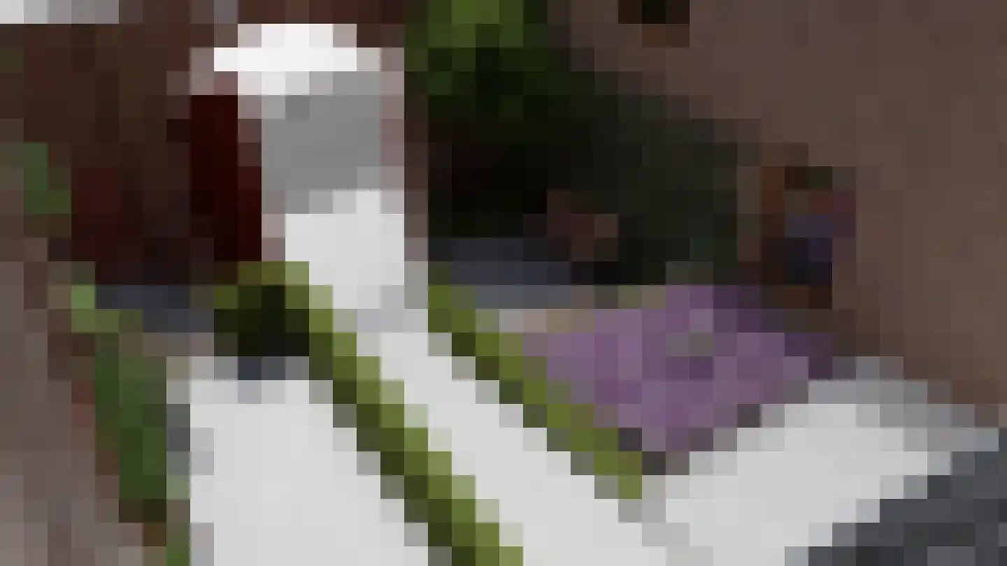 Pastoor Brouwersstraat 3 Margraten thumbnail 9