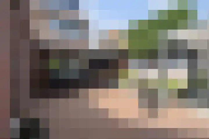 Pastoor Brugmanstraat 9 Pannerden thumbnail 13
