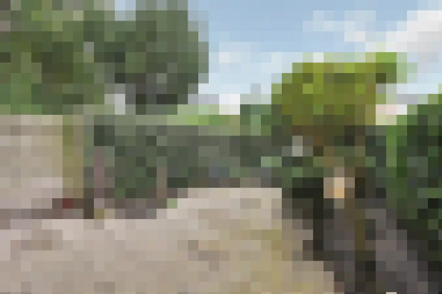 Pastoor Buyslaan 1 Wassenaar thumbnail 18