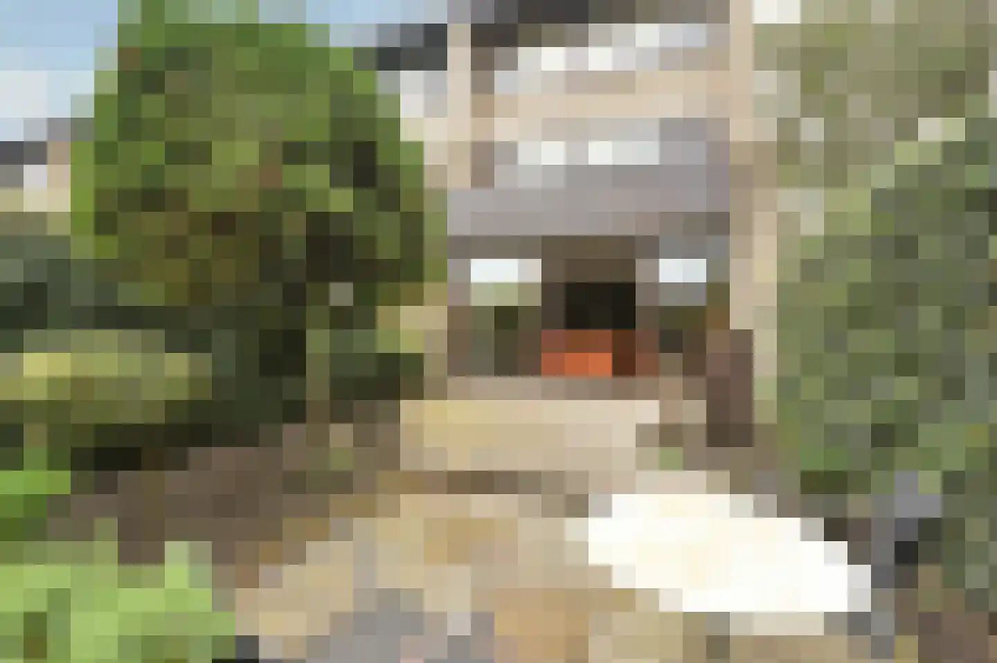 Pastoor Buyslaan 1 Wassenaar thumbnail 19
