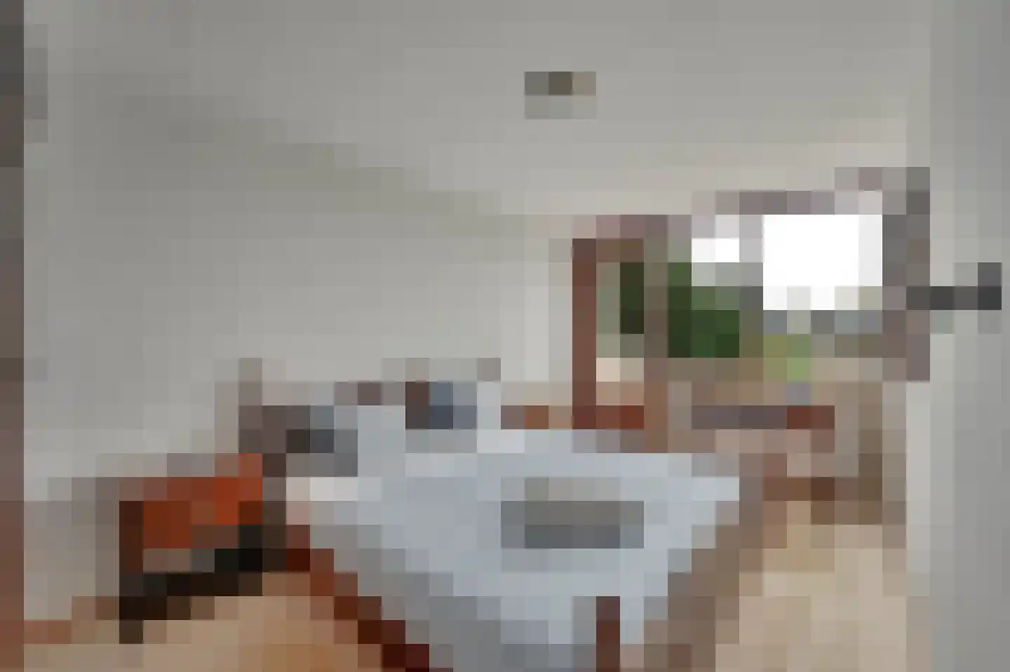 Pastoor Buyslaan 1 Wassenaar thumbnail 25