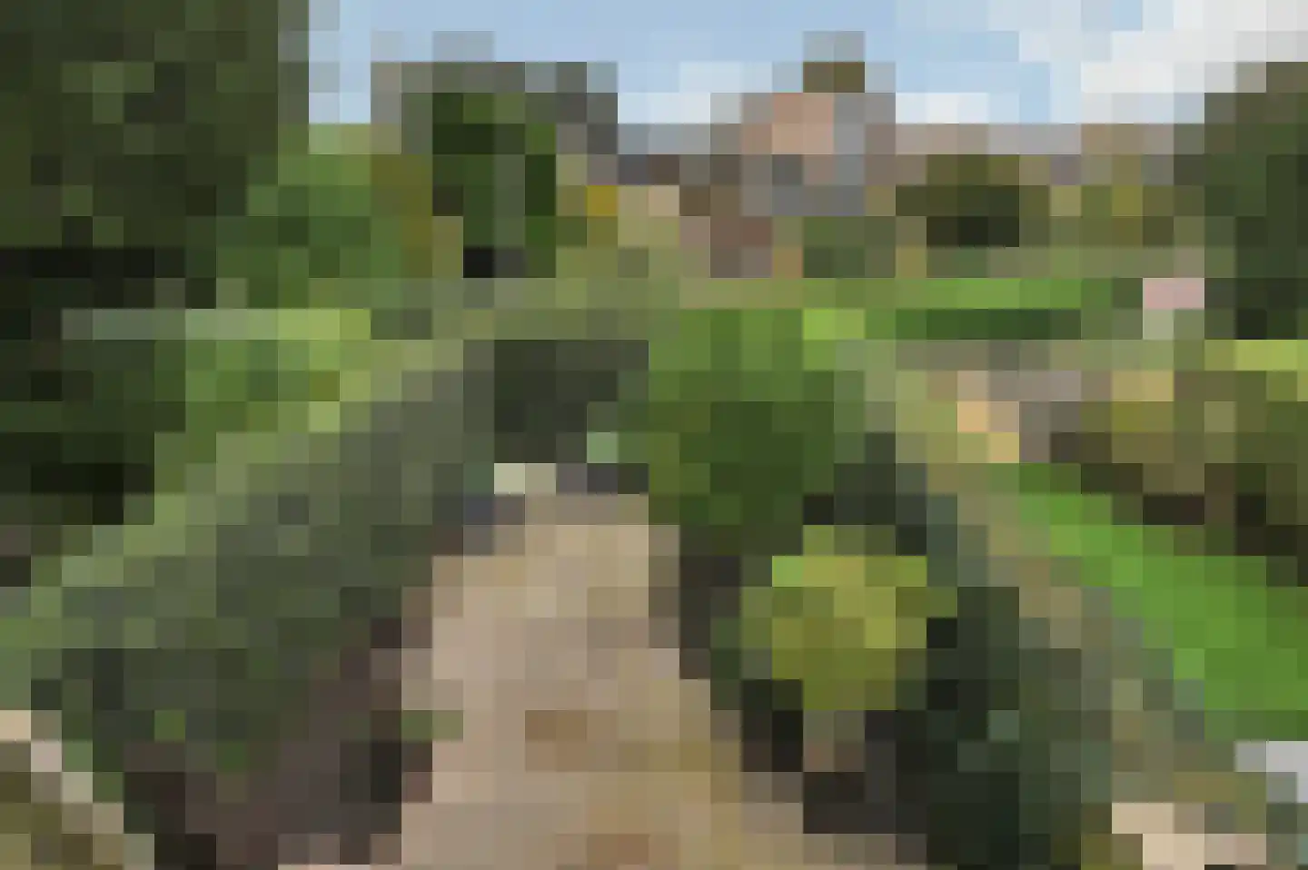 Pastoor Buyslaan 1 Wassenaar thumbnail 29