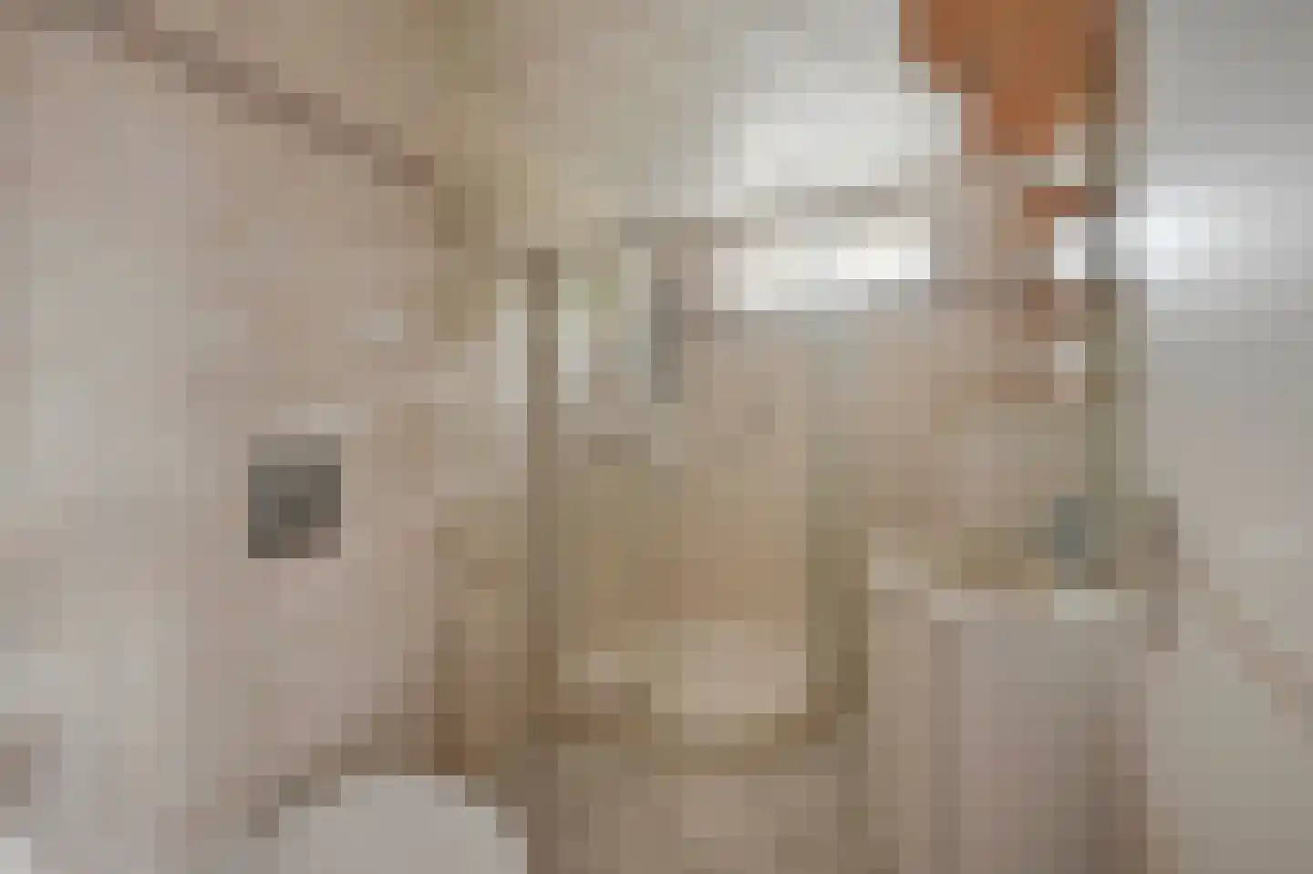 Pastoor Buyslaan 1 Wassenaar thumbnail 31
