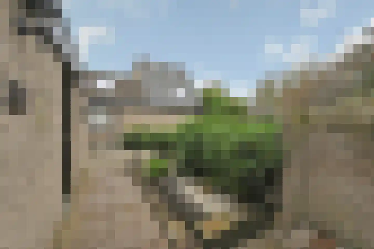Pastoor Buyslaan 1 Wassenaar thumbnail 38