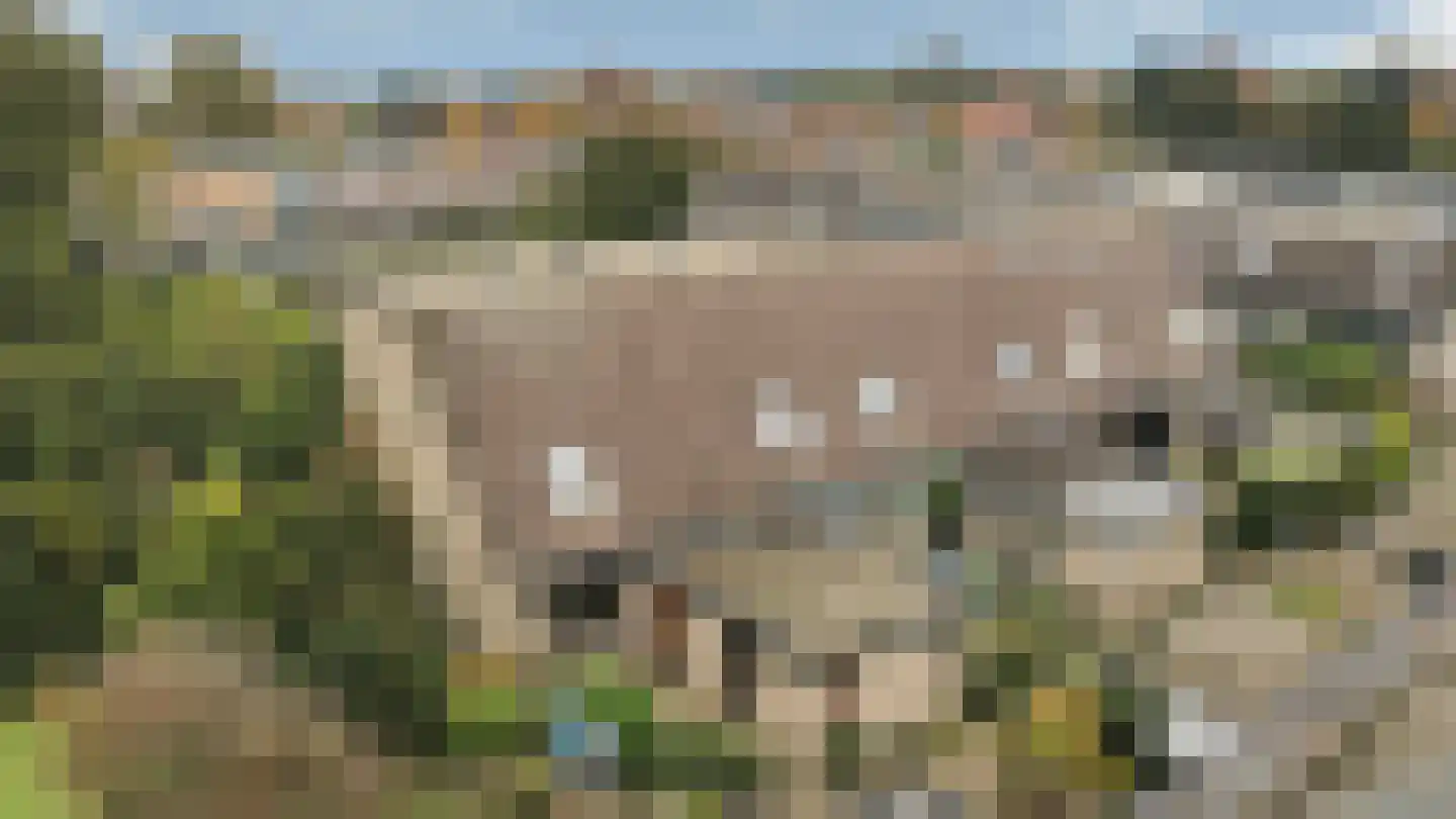 Pastoor Buyslaan 1 Wassenaar thumbnail 42
