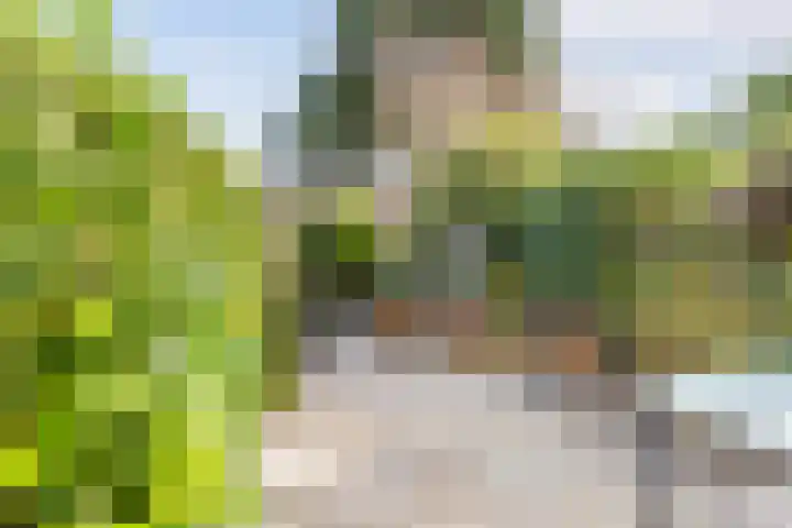 Pastoor Buyslaan 17 Wassenaar thumbnail 11
