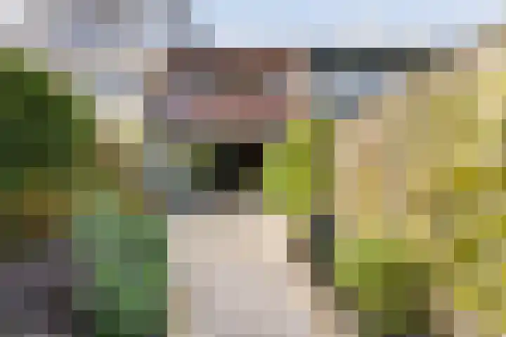 Pastoor Buyslaan 17 Wassenaar thumbnail 12