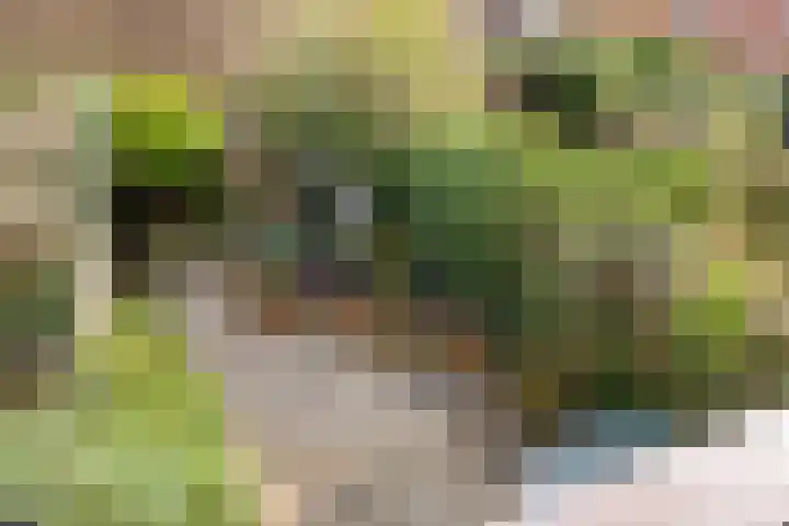 Pastoor Buyslaan 17 Wassenaar thumbnail 13