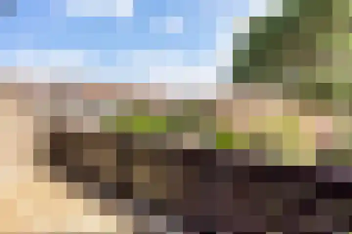 Pastoor Buyslaan 17 Wassenaar thumbnail 23