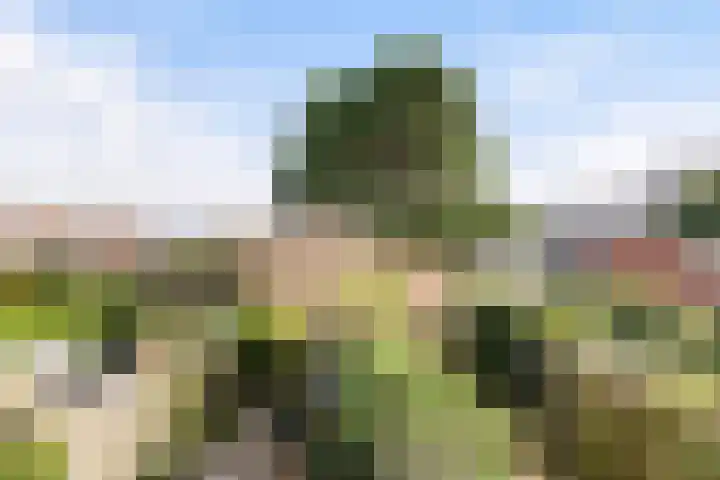 Pastoor Buyslaan 17 Wassenaar thumbnail 24