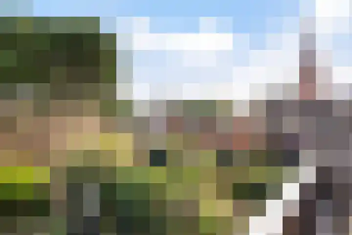 Pastoor Buyslaan 17 Wassenaar thumbnail 25