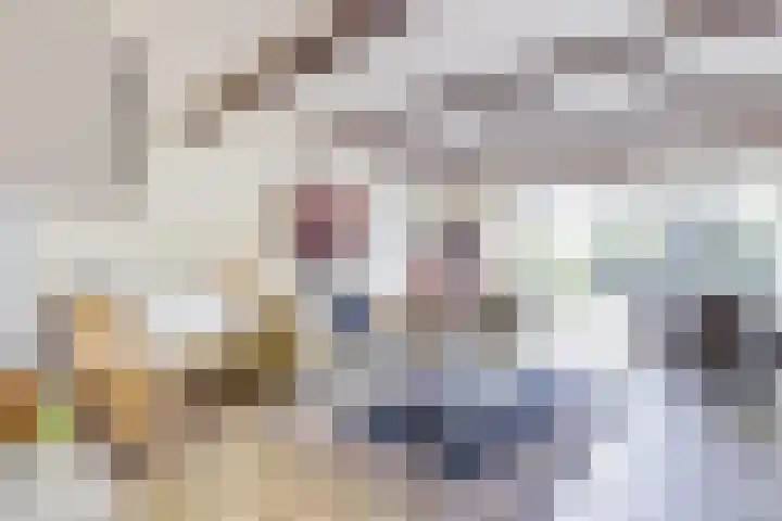 Pastoor Buyslaan 17 Wassenaar thumbnail 6