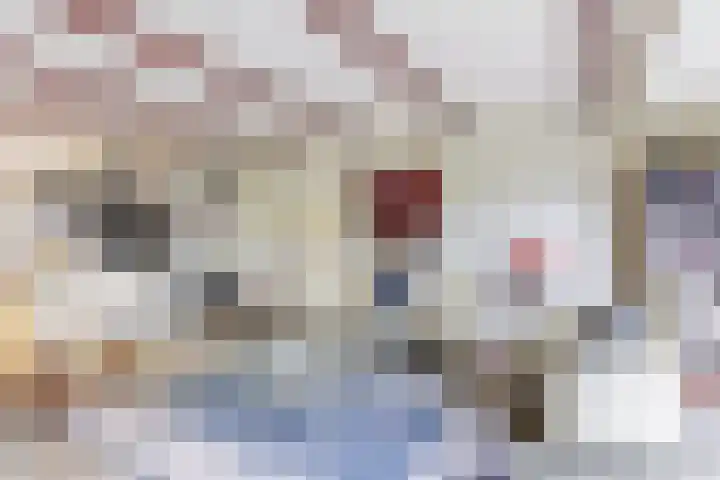Pastoor Buyslaan 17 Wassenaar thumbnail 7