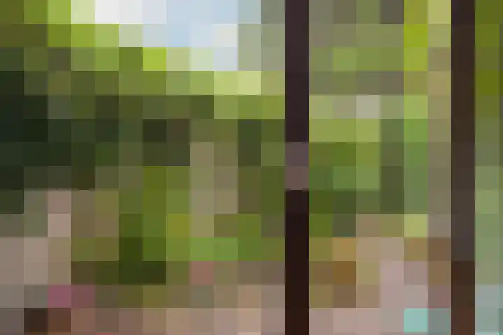 Pastoor Buyslaan 21 Wassenaar thumbnail 21