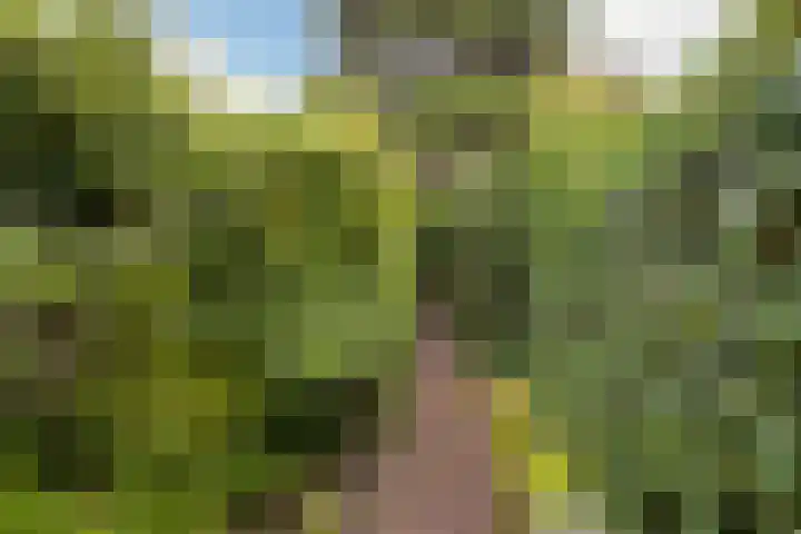 Pastoor Buyslaan 21 Wassenaar thumbnail 23