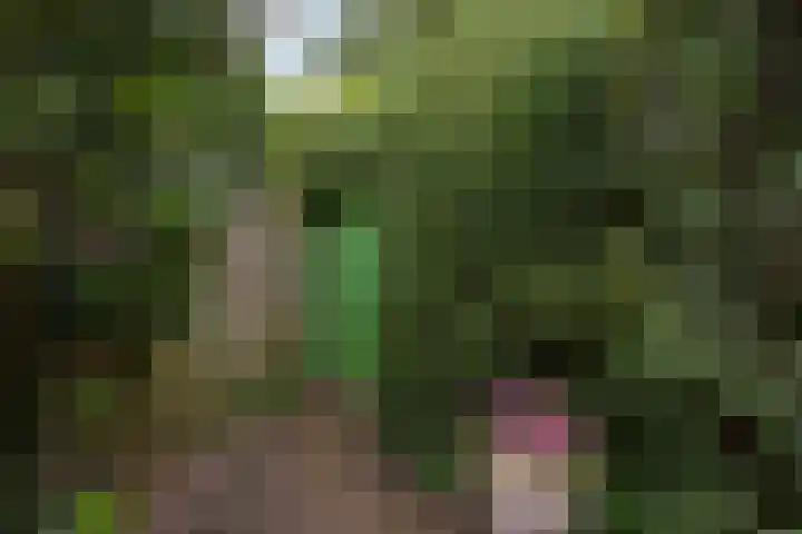 Pastoor Buyslaan 21 Wassenaar thumbnail 24