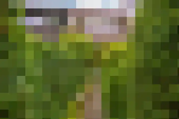 Pastoor Buyslaan 21 Wassenaar thumbnail 25