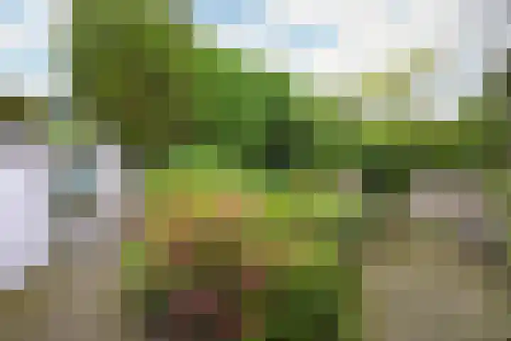 Pastoor Buyslaan 21 Wassenaar thumbnail 4