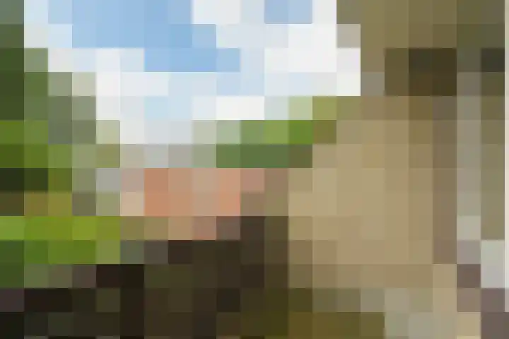 Pastoor Buyslaan 21 Wassenaar thumbnail 40