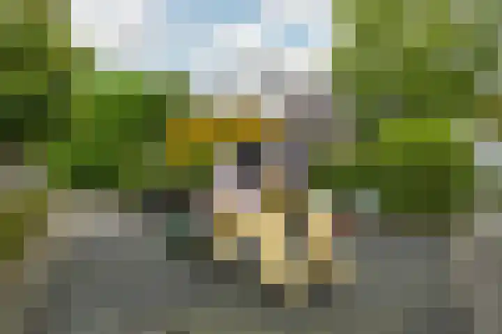 Pastoor Buyslaan 21 Wassenaar thumbnail 44
