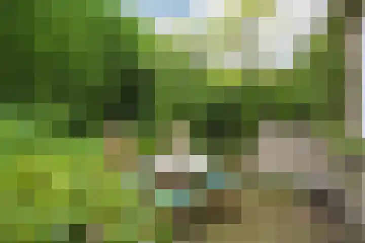Pastoor Buyslaan 21 Wassenaar thumbnail 5