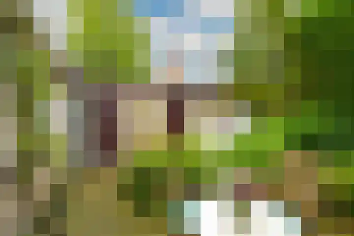 Pastoor Buyslaan 21 Wassenaar thumbnail 6