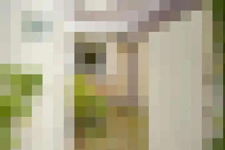 Pastoor Buyslaan 21 Wassenaar thumbnail 7