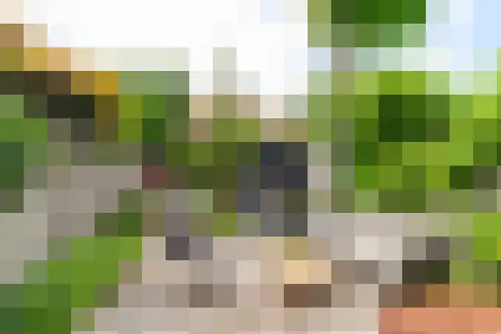 Pastoor Buyslaan 48 Wassenaar thumbnail 38