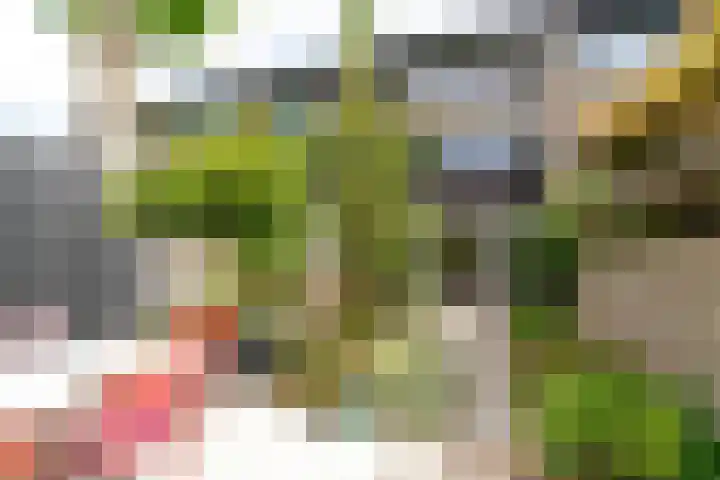 Pastoor Buyslaan 48 Wassenaar thumbnail 39