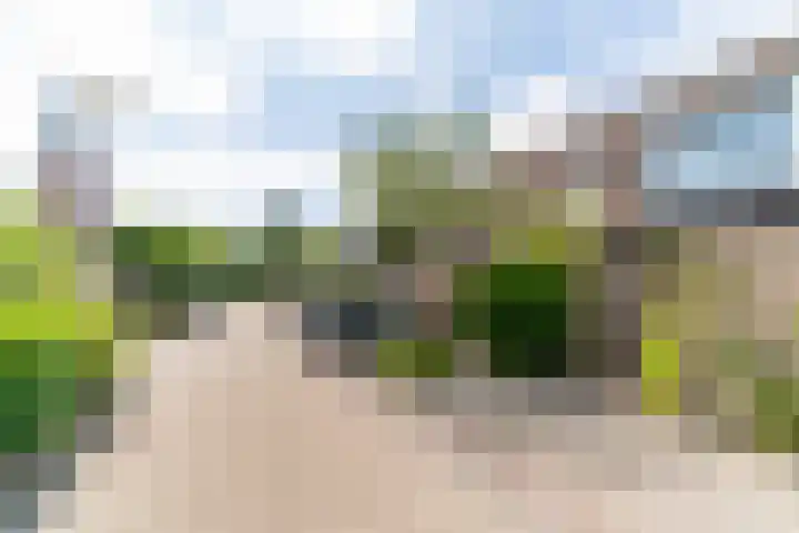 Pastoor Buyslaan 48 Wassenaar thumbnail 4