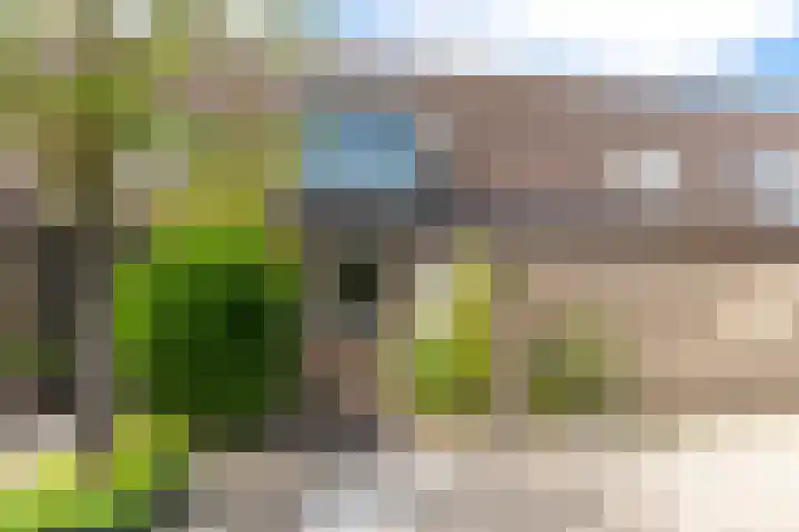 Pastoor Buyslaan 48 Wassenaar thumbnail 5