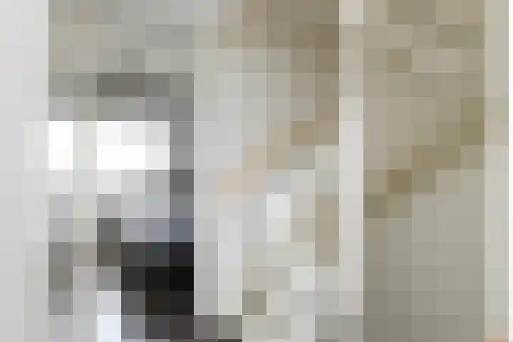 Pastoor C. Vasselaan 21 De Kwakel thumbnail 10