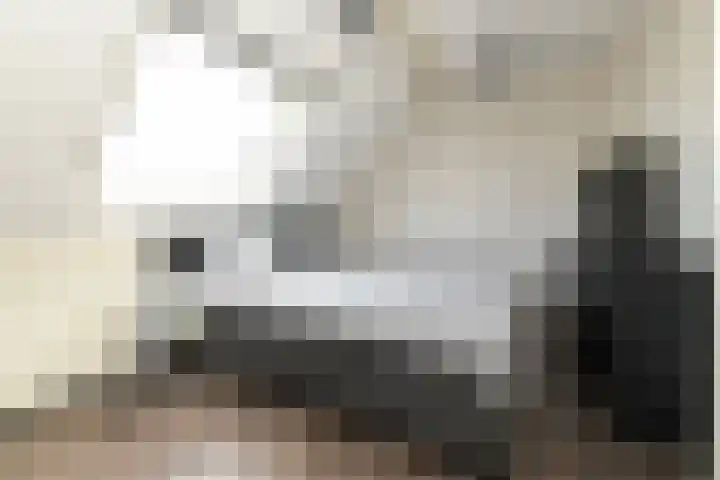 Pastoor C. Vasselaan 21 De Kwakel thumbnail 11