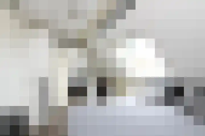 Pastoor C. Vasselaan 21 De Kwakel thumbnail 12