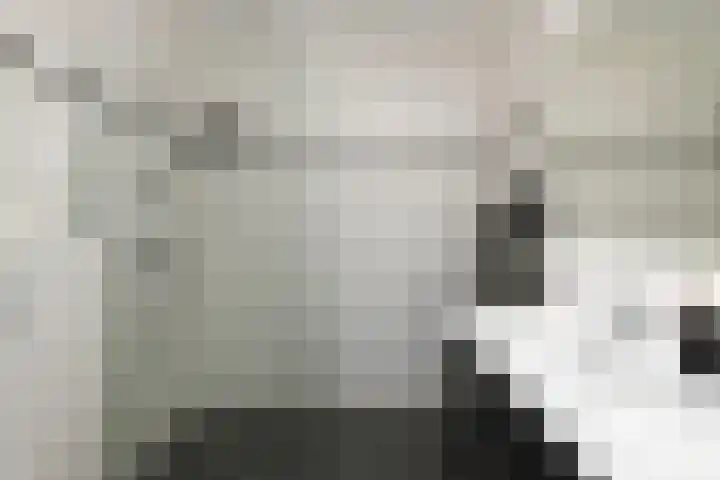 Pastoor C. Vasselaan 21 De Kwakel thumbnail 14
