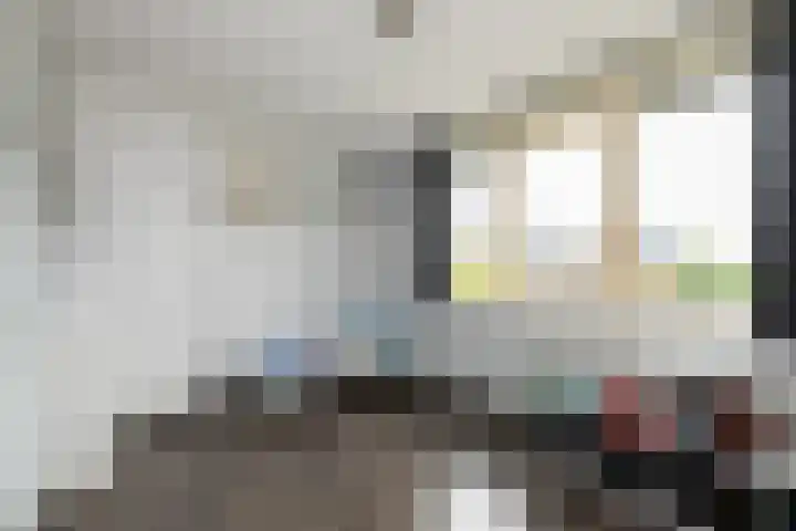 Pastoor C. Vasselaan 21 De Kwakel thumbnail 16