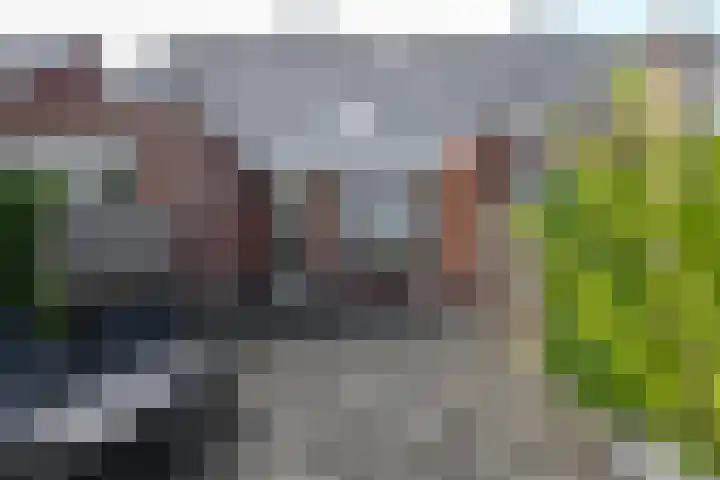 Pastoor C. Vasselaan 21 De Kwakel thumbnail 24