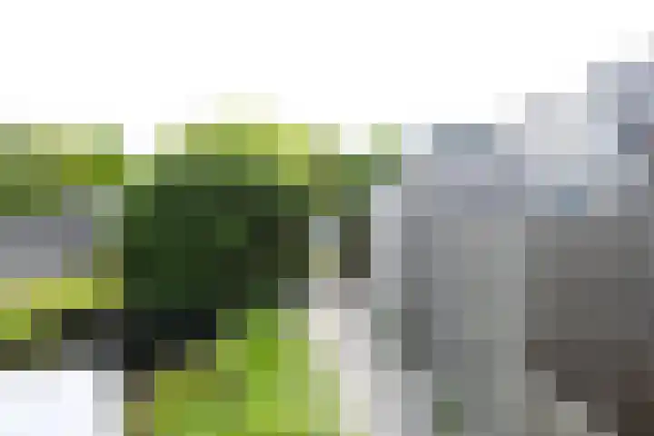 Pastoor C. Vasselaan 21 De Kwakel thumbnail 28