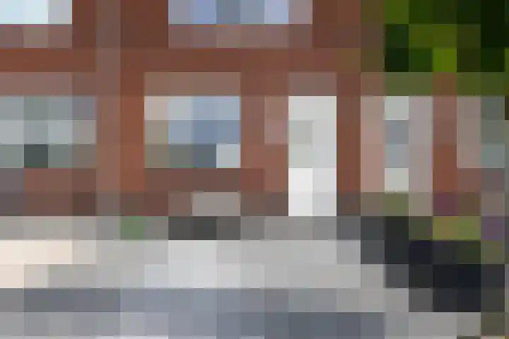 Pastoor C. Vasselaan 21 De Kwakel thumbnail 29