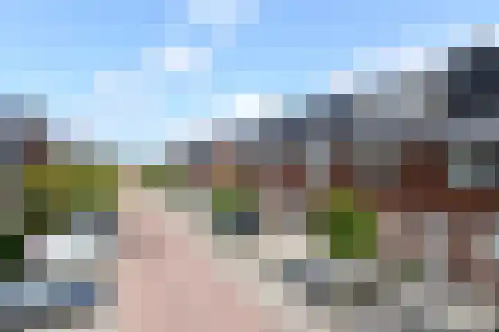 Pastoor C. Vasselaan 21 De Kwakel thumbnail 30