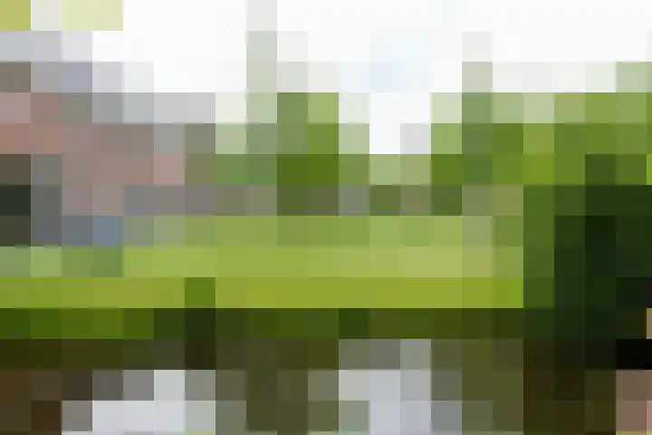 Pastoor C. Vasselaan 21 De Kwakel thumbnail 31