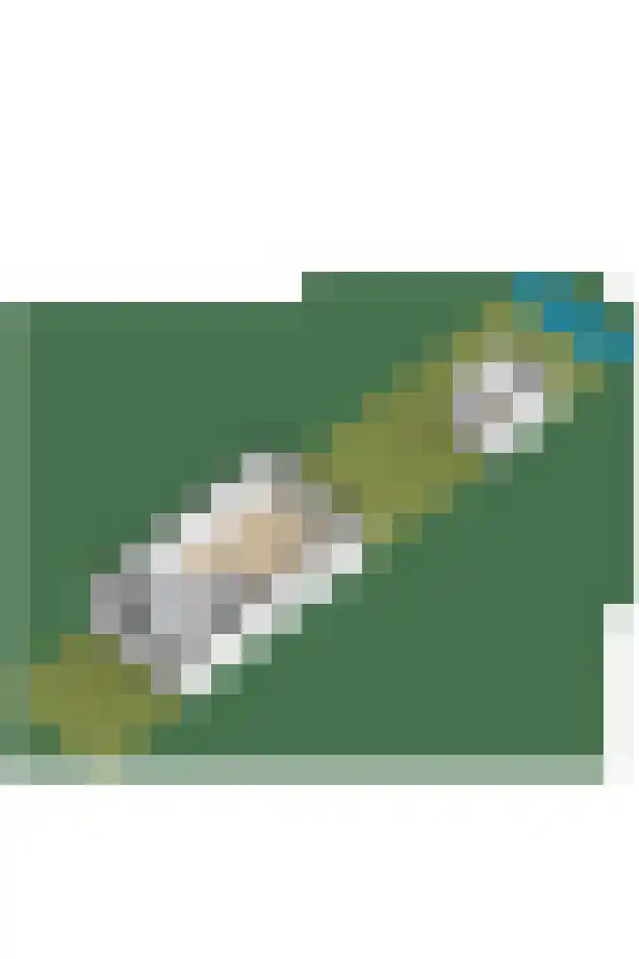 Pastoor C. Vasselaan 21 De Kwakel thumbnail 34