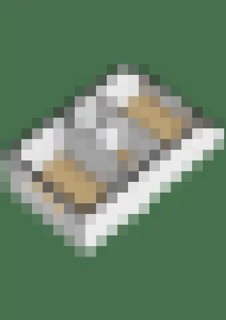 Pastoor C. Vasselaan 21 De Kwakel thumbnail 38