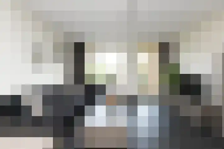 Pastoor C. Vasselaan 21 De Kwakel thumbnail 4