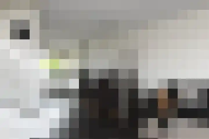 Pastoor C. Vasselaan 21 De Kwakel thumbnail 6