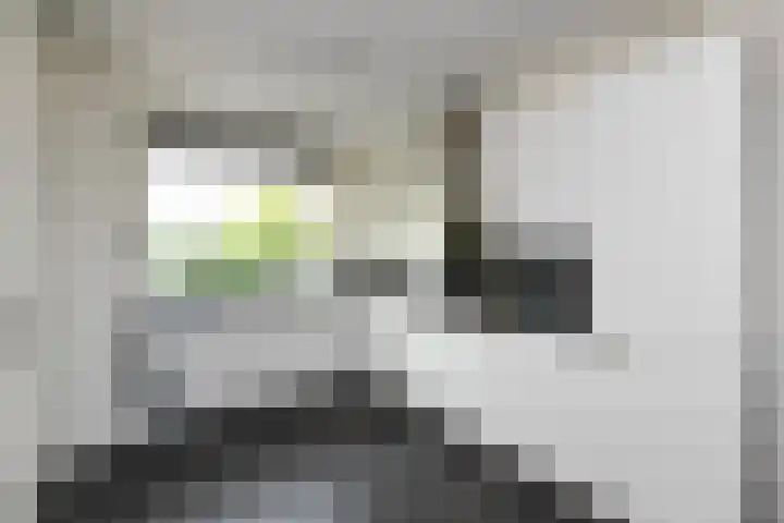Pastoor C. Vasselaan 21 De Kwakel thumbnail 8