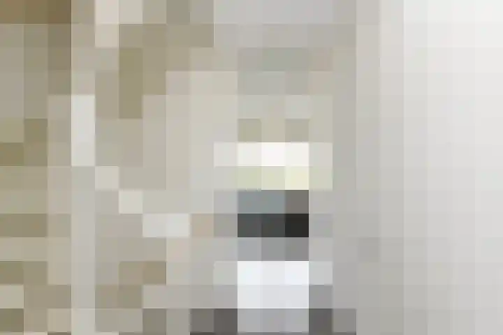 Pastoor C. Vasselaan 21 De Kwakel thumbnail 9