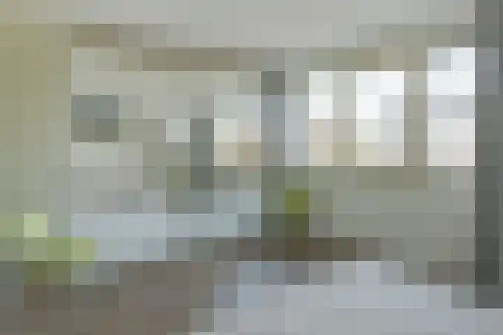 Pastoor C. Vasselaan 26 De Kwakel thumbnail 11