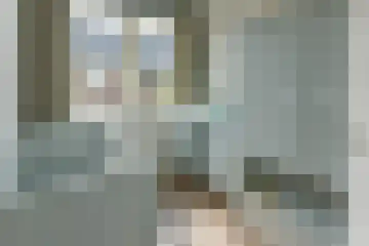 Pastoor C. Vasselaan 26 De Kwakel thumbnail 12