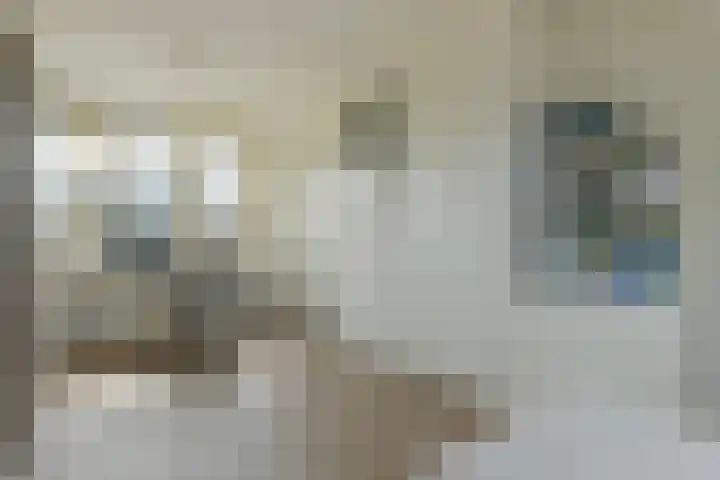 Pastoor C. Vasselaan 26 De Kwakel thumbnail 15